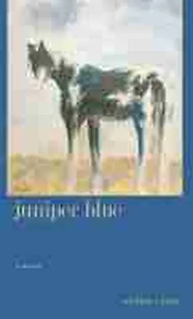 Lang |  Juniper Blue | Buch |  Sack Fachmedien