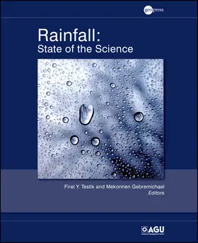 Testik / Gebremichael | Rainfall | Buch | 978-0-87590-481-8 | sack.de