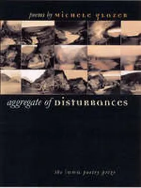  Aggregate of Disturbances | Buch |  Sack Fachmedien