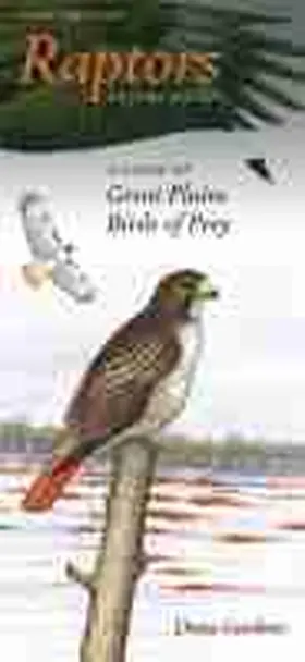  Raptors in Your Pocket: A Guide to Great Plains Birds of Prey | Buch |  Sack Fachmedien