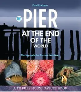 Erickson |  Pier at the End of the World | eBook | Sack Fachmedien