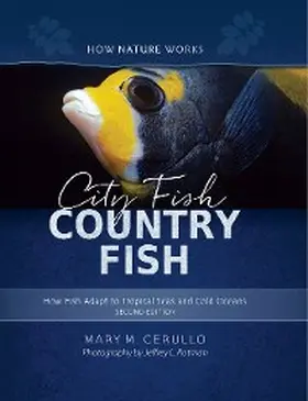 Cerullo |  City Fish Country Fish | eBook | Sack Fachmedien