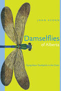 Acorn |  Damselflies of Alberta | Buch |  Sack Fachmedien