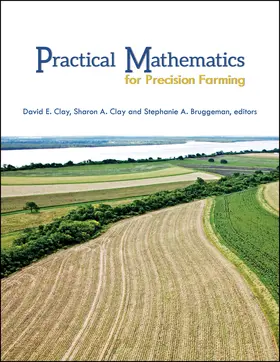 Clay / Bruggeman |  Practical Mathematics for Prec | Buch |  Sack Fachmedien
