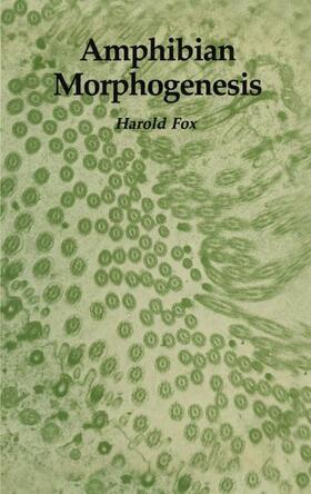 Fox | Amphibian Morphogenesis | Buch | 978-0-89603-043-5 | sack.de