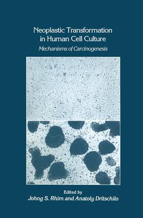 Rhim / Dritschilo |  Neoplastic Transformation in Human Cell Culture | Buch |  Sack Fachmedien