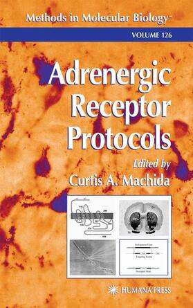 Machida | Adrenergic Receptor Protocols | Buch | 978-0-89603-602-4 | sack.de