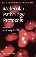 Killeen |  Molecular Pathology Protocols | Buch |  Sack Fachmedien