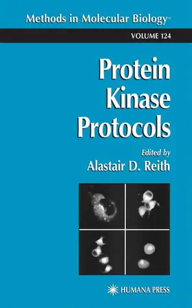 Reith | Protein Kinase Protocols | Buch | 978-0-89603-700-7 | www.sack.de