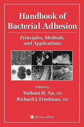An / Friedman |  Handbook of Bacterial Adhesion | Buch |  Sack Fachmedien