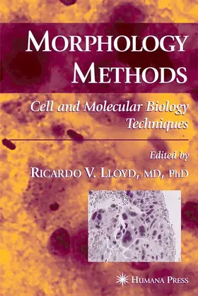 Lloyd |  Morphology Methods | Buch |  Sack Fachmedien