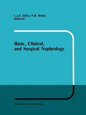 Motta / Didio |  Basic, Clinical, and Surgical Nephrology | Buch |  Sack Fachmedien