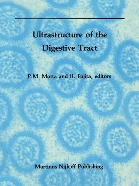 Fujita / Motta |  Ultrastructure of the Digestive Tract | Buch |  Sack Fachmedien