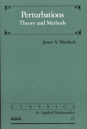 Murdock | Perturbations: Theory and Methods | Buch | 978-0-89871-443-2 | sack.de