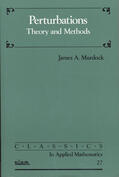 Murdock |  Perturbations: Theory and Methods | Buch |  Sack Fachmedien