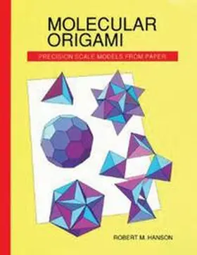 Hanson |  Molecular Origami | Buch |  Sack Fachmedien