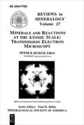 Buseck |  Minerals and Reactions at the Atomic Scale | Buch |  Sack Fachmedien