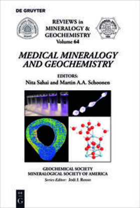 Schoonen / Sahai |  Medical Mineralogy and Geochemistry | Buch |  Sack Fachmedien