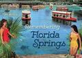 Hollis |  Remembering Florida Springs | Buch |  Sack Fachmedien