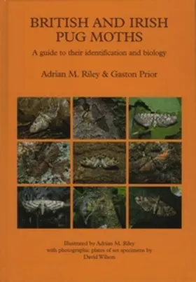 Riley / Prior |  British and Irish Pug Moths - a Guide to their Identification and Biology | Buch |  Sack Fachmedien