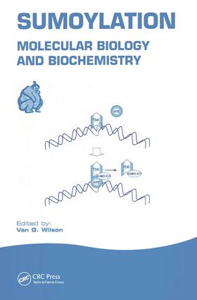 Wilson |  Sumoylation | Buch |  Sack Fachmedien