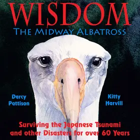 Pattison |  Wisdom, the Midway Albatross | eBook | Sack Fachmedien