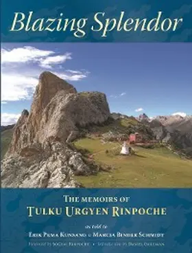 Rinpoche |  Blazing Splendor | eBook | Sack Fachmedien