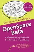 Hermann / Pflaeging |  OpenSpace Beta | eBook | Sack Fachmedien