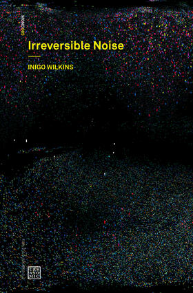 Wilkins |  Irreversible Noise | Buch |  Sack Fachmedien