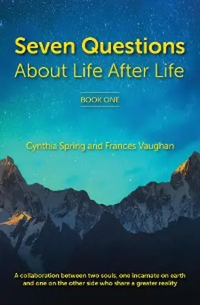 Spring / Vaughan |  7 Questions About Life After Life | eBook | Sack Fachmedien
