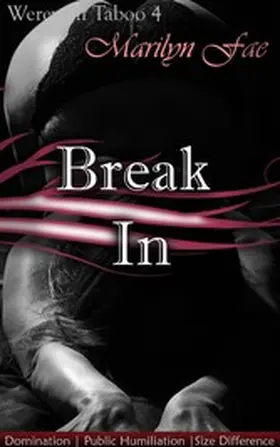Fae |  Break In | eBook | Sack Fachmedien