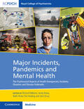 Williams / Kemp / Porter |  Major Incidents, Pandemics and Mental Health | Buch |  Sack Fachmedien