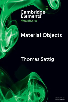 Sattig |  Material Objects | Buch |  Sack Fachmedien