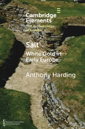 Harding |  Salt | Buch |  Sack Fachmedien