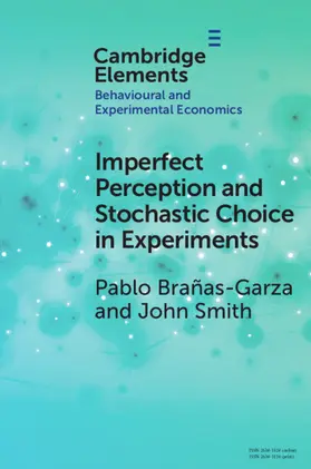 Brañas-Garza / Smith |  Imperfect Perception and Stochastic Choice in Experiments | Buch |  Sack Fachmedien