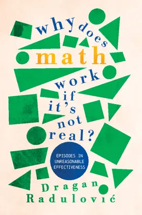 Radulovic |  Why Does Math Work ... If It's Not Real? | Buch |  Sack Fachmedien