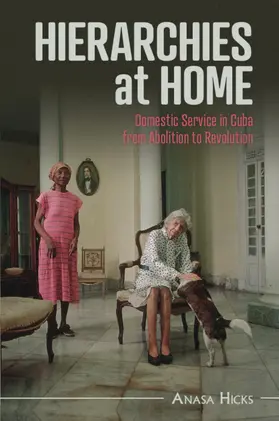 Hicks |  Hierarchies at Home | Buch |  Sack Fachmedien