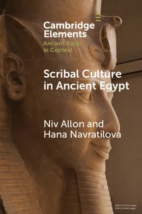 Allon / Navratilova |  Scribal Culture in Ancient Egypt | Buch |  Sack Fachmedien