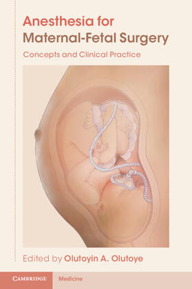 Olutoye | Anesthesia for Maternal-Fetal Surgery | Buch | 978-1-00-908890-9 | sack.de