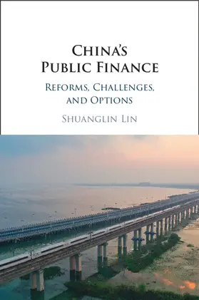 Lin |  China's Public Finance | Buch |  Sack Fachmedien