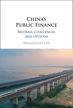 Lin |  China's Public Finance | Buch |  Sack Fachmedien