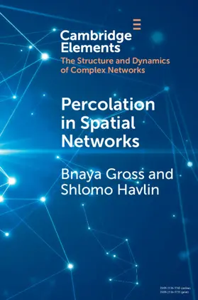 Gross / Havlin |  Percolation in Spatial Networks | Buch |  Sack Fachmedien