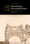 McGarry |  Intervening in International Justice | Buch |  Sack Fachmedien