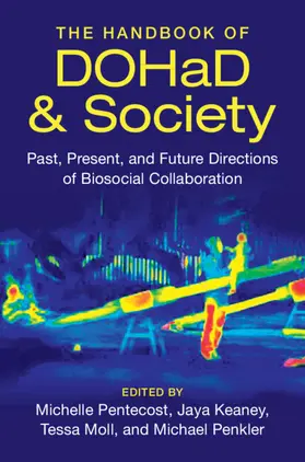 Keaney / Pentecost / Penkler |  The Handbook of DOHaD and Society | Buch |  Sack Fachmedien