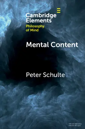 Schulte |  Mental Content | Buch |  Sack Fachmedien