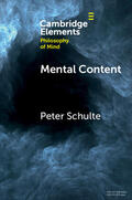 Schulte |  Mental Content | Buch |  Sack Fachmedien