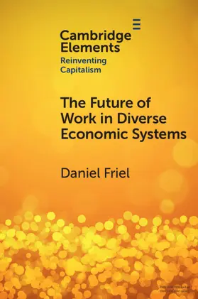 Friel |  The Future of Work in Diverse Economic Systems | Buch |  Sack Fachmedien