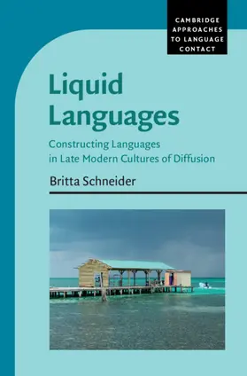Schneider |  Liquid Languages | Buch |  Sack Fachmedien