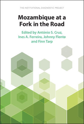 Cruz / Ferreira / Flentø | Mozambique at a Fork in the Road | Buch | 978-1-00-926575-1 | sack.de