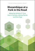 Cruz / Ferreira / Flentø |  Mozambique at a Fork in the Road | Buch |  Sack Fachmedien
